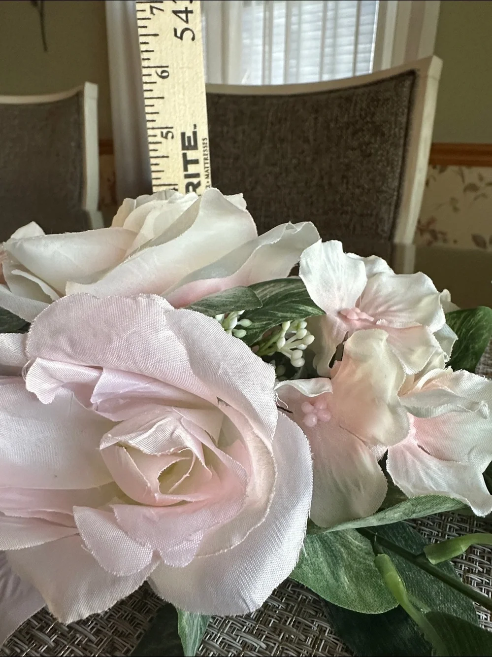 Ashland 18 blush